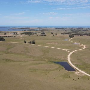 Campo En Venta En José Ignacio