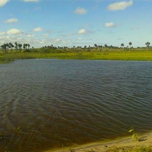 Campo En Venta