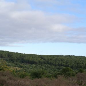 Campo En Venta