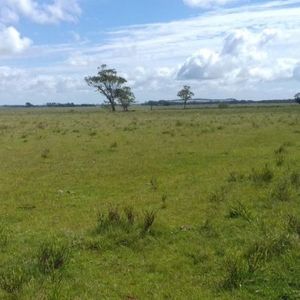 Campo En Venta En Rocha 20ha
