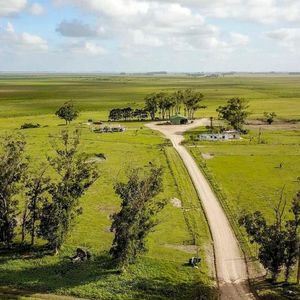 3156 Hectáreas | Campo | Ruta 9 Km 244