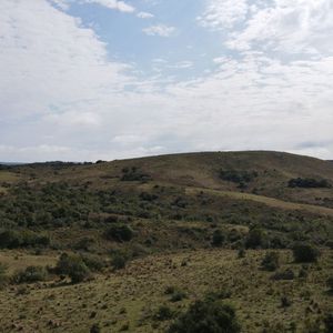 Campo En Rocha 78ha