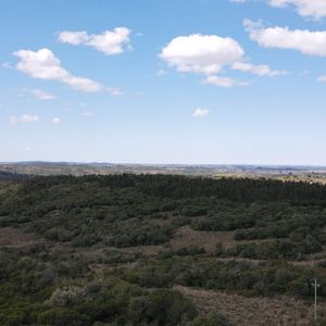 Campo En Rocha De 137ha