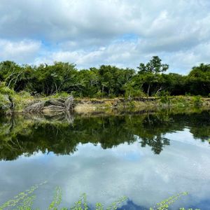 Campo En Venta De 63 Ha En Maldonado Uruguay