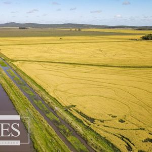 Campo Agrícola Ganadero  De 1500ha Rocha