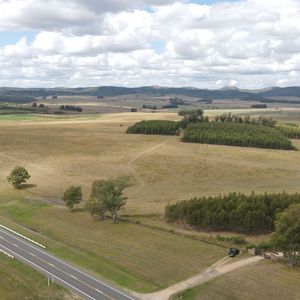 Campo En Lavalleja De 228ha