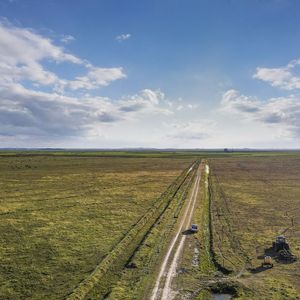 Venta Campo 740 Hás Rocha Agrícola Ganadero R 7085