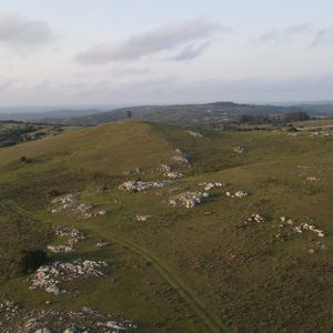 Campo En Lavalleja 395ha