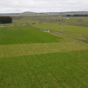 Campo Ganadero En Rocha 350ha