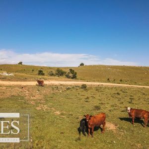 Chacras De 5 Ha En Fraccionamiento Sierras Del Edén Ruta 12