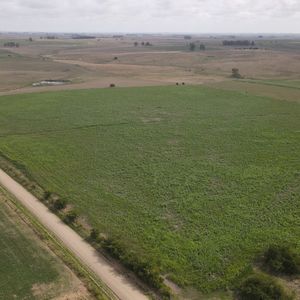 Campo En Venta De 150 Ha Agrícola Ganadero En Florida