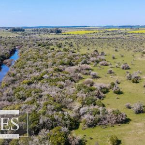 Campo De 180ha En Paysandú Agrícola Ganadero