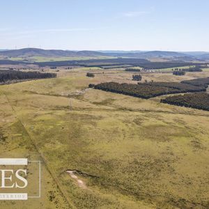 Campo En Venta De 109 Ha Partido Norte, Maldonado