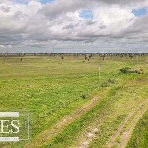 Campo En Rocha Ganadero Agrícola 125ha