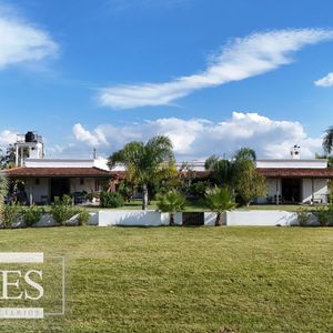 Campo En Venta De 103 Ha Con Casa Reciclada Lavalleja.
