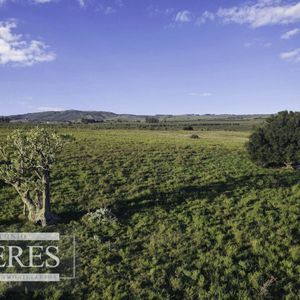 52ha Con Arroyo Maldonado