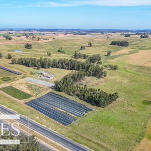 Campo En Venta De 59 Ha Sobre Ruta 9 A 15 Min De José Ignacio