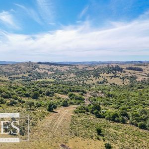 Fraccionamiento De 3 Y 4 Ha En Sierras De Pueblo Edén