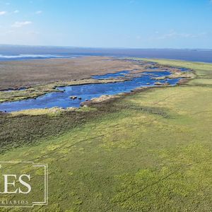 Campo En Venta De 750 Ha Ganaderas En Rocha, Uruguay.