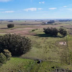 Campo En Venta De 24 Ha En Ruta 10 Las Garzas Rocha Uruguay