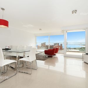 Alexander Collection 3 Suite