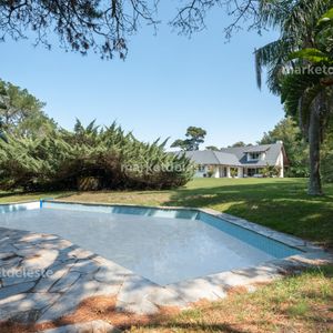 8250 M2 Barrio Golf