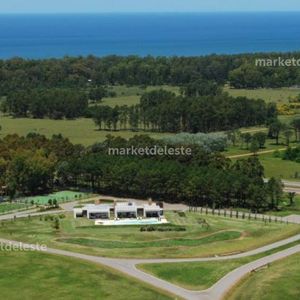 Laguna De Los Cisnes - Financia