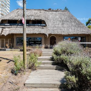 Local Comercial - Av Pedragosa Sierra