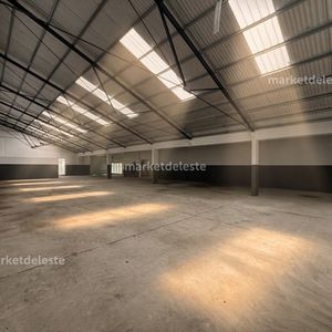 Mega Local En Punta Del Este