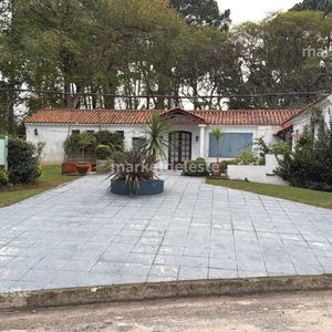 Local Gastronomico En P Sierra