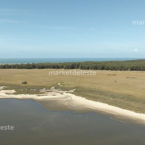 Chacra De 15 Hectáreas Con Costa A La Laguna De José Ignacio