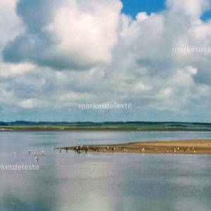 Chacra De 39 Hectáreas Con Costa A La Laguna De José Ignacio