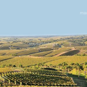 Chacra En La Toscana De Garzon - N° 13