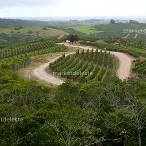 Chacra En Garzon - La Toscana De Garzon Chacra 15
