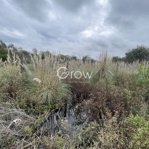 Terreno A 100 Metros Del Mar En Punta Rubia