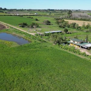 Venta | Campo En Los Cerrillos Con 33 Ha | ic 233