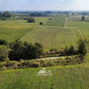 Venta | Campo 28 Has  Coneat 193 . A 1km De La Ruta 64 Entre Fuster Y Cmo. De Las Carreras Canelon Grande