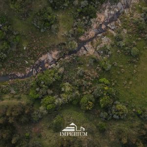 Venta | Campo Forestal En Rivera, 768 Hás