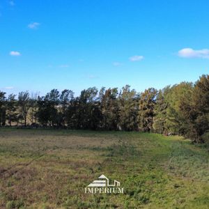 Venta | Chacra 3,2 Hectareas En Melilla A 3km De La Ruta 5