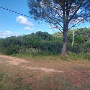 Terreno Habilitado Para Construcción En San Antonio