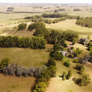 Campo En Venta Rocha