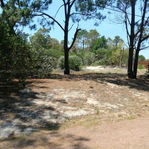 Venta Terreno En Jaureguiberry Sobre Interbalnearia