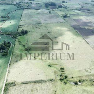 Venta Campo Ruta 8