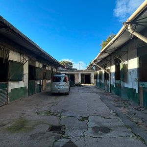 Venta De Stud En Maroñas.