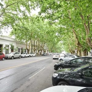 Local Y Terreno 1700m² Colonia Del Sacramento Venta/alquiler