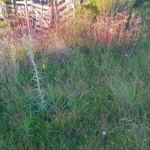 (bpv-bpv-10374)  Chacra En Venta