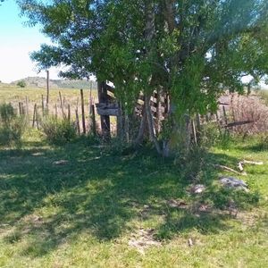 (bpv-bpv-10375)  Chacra En Venta
