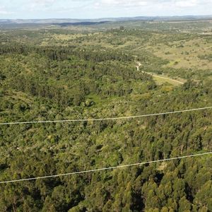 (bpv-bpv-10425)  Chacra De 5 Hectáreas En Venta Aiguá, Cañada Tajamar Monte