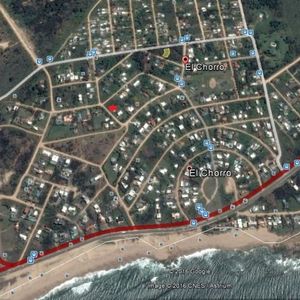 (bpv-bpv-10898)  Lote | Caballas