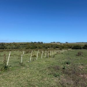 (bpv-bpv-11088)  Campo En Venta En Pueblo Edén